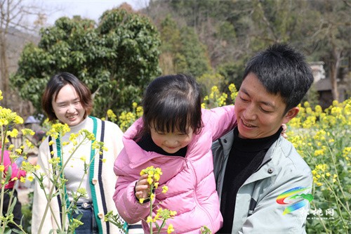 【奮進(jìn)的春天】春回大地 油菜花“金”艷綻放