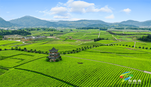 普覺鎮(zhèn)：“四強(qiáng)四化”做大強(qiáng)村富民公司助力鄉(xiāng)村振興