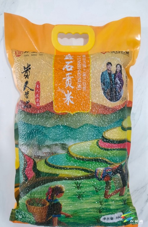 盤石鎮(zhèn)：創(chuàng)新“一一三三”工作模式推動強村富民公司實體化運行