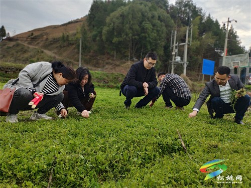 縣委編辦：助力春耕備耕，黨員示范先行