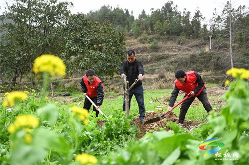 盤信鎮(zhèn)開展2023年“我為家鄉(xiāng)捐棵樹·同心共建春暉林”植樹活動(dòng)