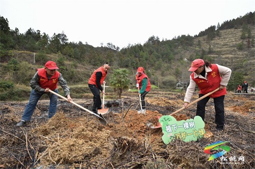 盤信鎮(zhèn)開展2023年“我為家鄉(xiāng)捐棵樹·同心共建春暉林”植樹活動(dòng)