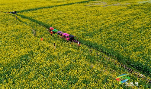 【多彩貴州?花漾中國(guó)】松桃:“農(nóng)旅一體”助振興