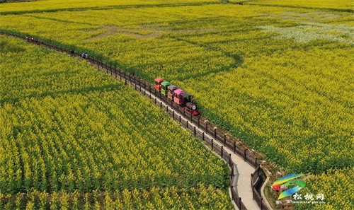 【多彩貴州?花漾中國(guó)】松桃:“農(nóng)旅一體”助振興
