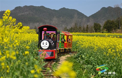 【多彩貴州?花漾中國(guó)】松桃:“農(nóng)旅一體”助振興