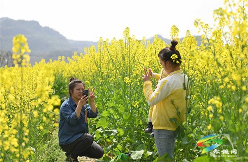 【多彩貴州?花漾中國(guó)】松桃:“農(nóng)旅一體”助振興