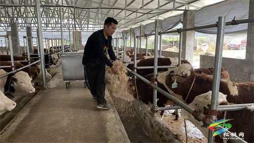 松桃：“貸”動(dòng)農(nóng)民發(fā)展走實(shí)鄉(xiāng)村振興路