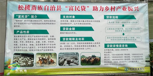 松桃：“貸”動(dòng)農(nóng)民發(fā)展走實(shí)鄉(xiāng)村振興路