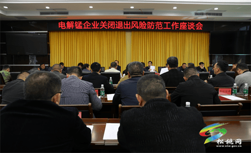 黃愛(ài)民到松桃調(diào)研電解錳企業(yè)關(guān)閉退出工作座談會(huì)召開(kāi)