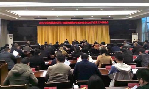 2023年實施健康松桃行動暨創(chuàng)建國家慢性病綜合防控示范縣工作推進會召開