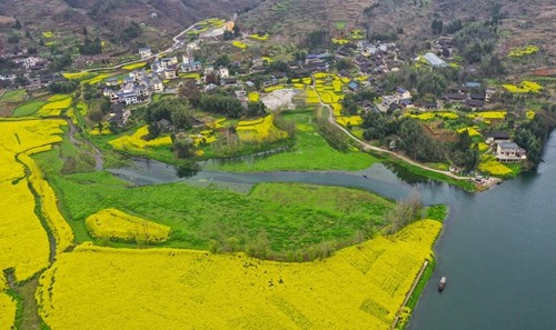 松桃：春日花開鄉(xiāng)村美??鴛鴦戲水鬧松江