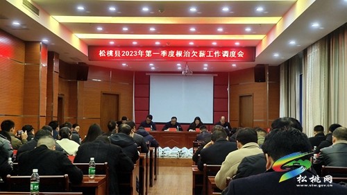松桃人社系統(tǒng)工作會召開