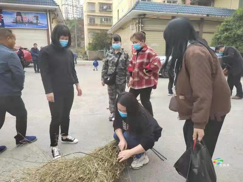 【大美松桃文明行】縣鄉(xiāng)村振興局到麻旦社區(qū)二中廉租房開展志愿服務(wù)活動