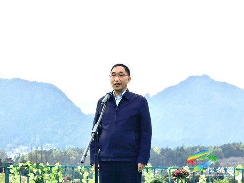 以茶為媒 以茶會友——普覺鎮(zhèn)第三屆采茶節(jié)火熱舉辦