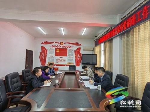 市委統(tǒng)戰(zhàn)部調(diào)研組一行到松桃開展僑情調(diào)研工作