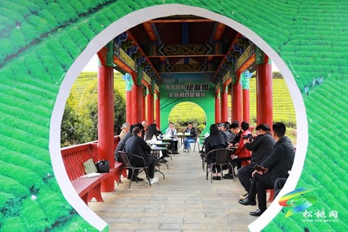 聚智賦能繪藍(lán)圖·文旅融合促振興?——松桃舉辦第三十二期VV沙龍活動(dòng)