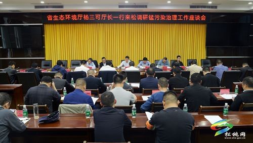 省生態(tài)環(huán)境廳楊三可一行來松調(diào)研錳污染治理工作