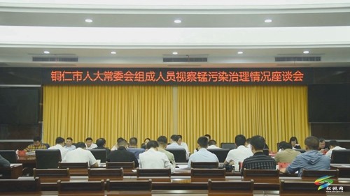 市人大常委會到我縣來視察錳污染治理情況