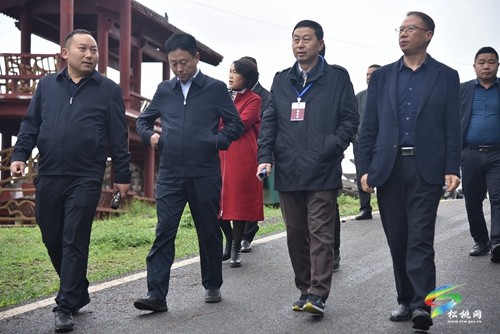 市政協(xié)調(diào)研組來(lái)松調(diào)研農(nóng)業(yè)現(xiàn)代化工作