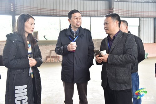 市政協(xié)調(diào)研組來(lái)松調(diào)研農(nóng)業(yè)現(xiàn)代化工作