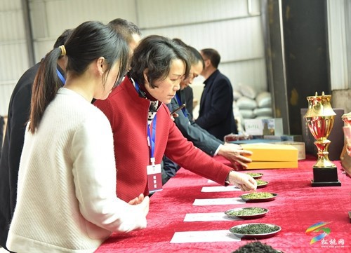 市政協(xié)調(diào)研組來(lái)松調(diào)研農(nóng)業(yè)現(xiàn)代化工作