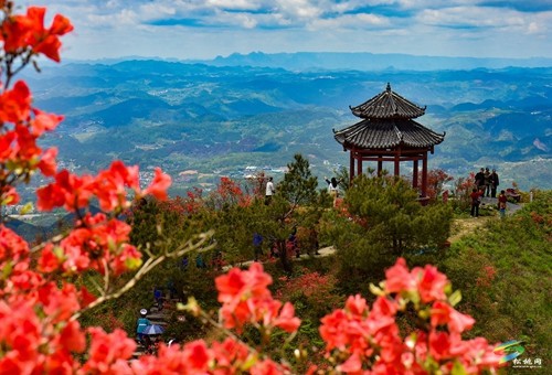 松桃：飛靈山上紅艷艷 朵朵花開(kāi)引客來(lái)