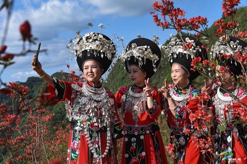 松桃：飛靈山上紅艷艷 朵朵花開(kāi)引客來(lái)