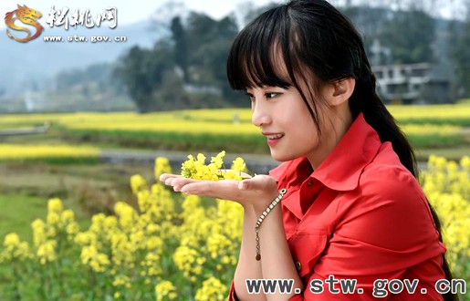 又見“府城”菜花開