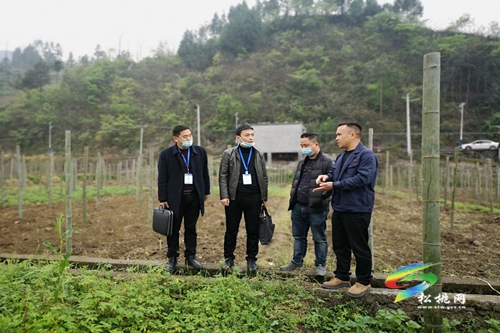 松桃：高質量交上屆內巡察“答卷”