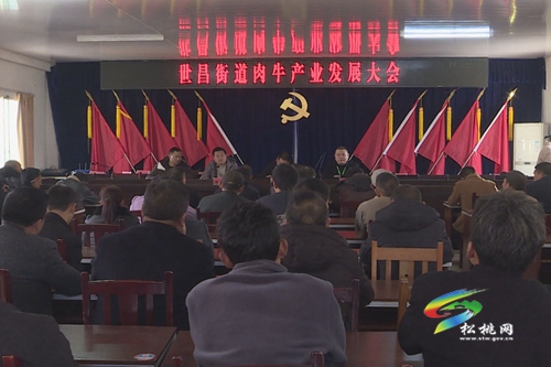 世昌街道：肉牛產(chǎn)業(yè)協(xié)會成立 群眾呼聲高