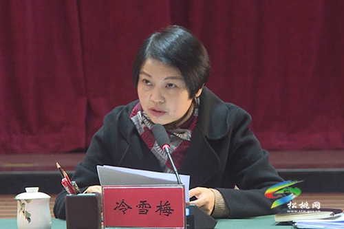 ​松桃縣委2020年度落實(shí)全面從嚴(yán)治黨主體責(zé)任工作情況匯報(bào)會(huì)召開