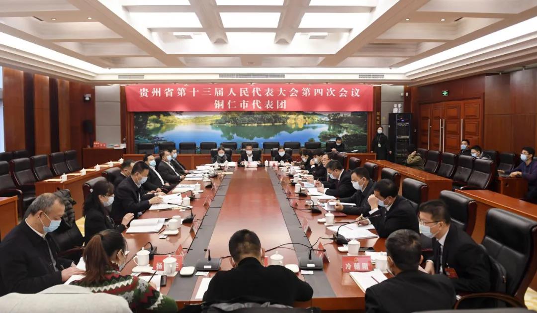 【省“兩會(huì)”專題報(bào)道】銅仁代表團(tuán)集中審議省政府工作報(bào)告