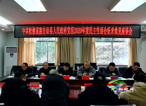 縣人民政府黨組2020年度民主生活會(huì)征求意見(jiàn)座談會(huì)召開(kāi)
