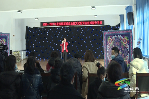 縣文化館開展2020—2021年度專業(yè)技術(shù)提升考核活動