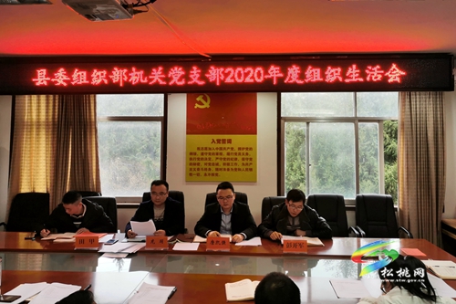 縣委組織部機(jī)關(guān)黨支部2020年度組織生活會召開