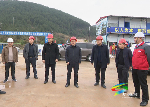 龍群躍到月亮谷、德康飼料廠建設項目督導安全生產(chǎn)、疫情防控工作