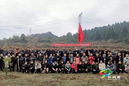 松桃各鄉(xiāng)鎮(zhèn)（街道）植樹添綠播種希望