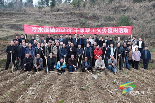 松桃各鄉(xiāng)鎮(zhèn)（街道）植樹添綠播種希望
