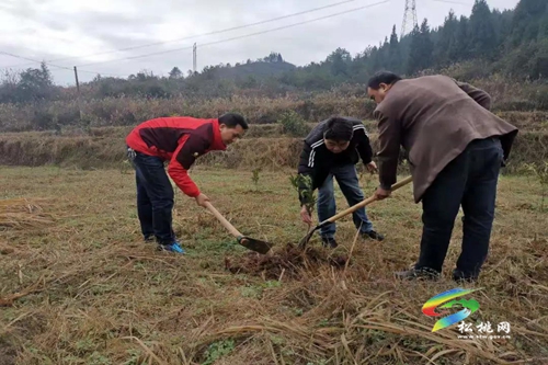 松桃各鄉(xiāng)鎮(zhèn)（街道）植樹添綠播種希望