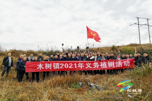 松桃各鄉(xiāng)鎮(zhèn)（街道）植樹添綠播種希望
