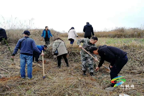 松桃各鄉(xiāng)鎮(zhèn)（街道）植樹添綠播種希望