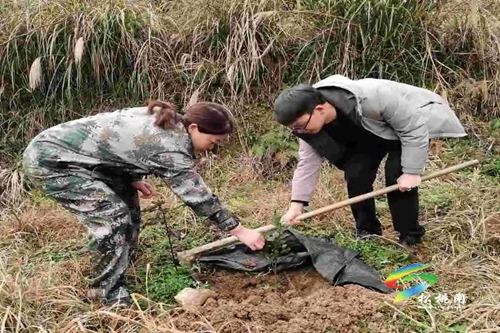 松桃各鄉(xiāng)鎮(zhèn)（街道）植樹添綠播種希望
