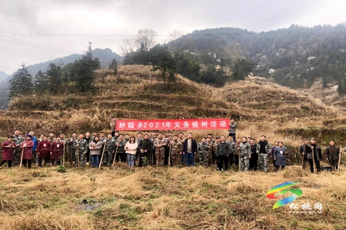 松桃各鄉(xiāng)鎮(zhèn)（街道）植樹添綠播種希望