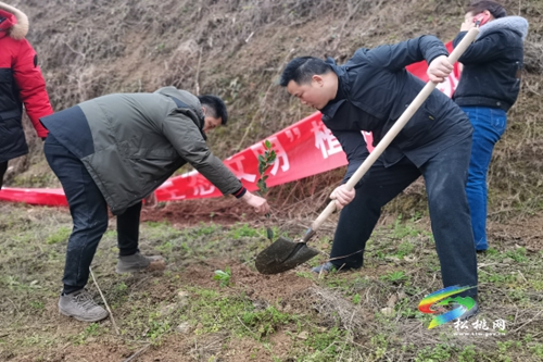 松桃各鄉(xiāng)鎮(zhèn)（街道）植樹添綠播種希望