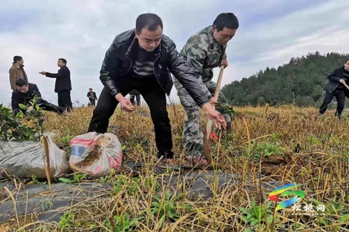松桃各鄉(xiāng)鎮(zhèn)（街道）植樹添綠播種希望