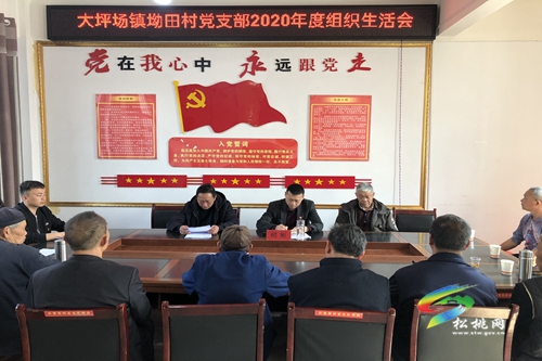 何彬到大坪場鎮(zhèn)坳田村黨支部指導(dǎo)2020年度組織生活會