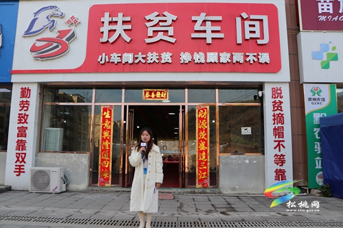 松桃開啟“網上直播就業(yè)”新通道