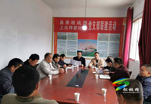 縣委統(tǒng)戰(zhàn)部到世昌街道上大坪社區(qū)開展支部聯建活動
