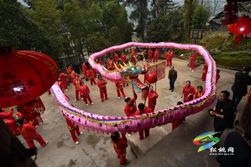【網(wǎng)絡(luò)中國節(jié)•元宵】寨英鎮(zhèn)落滿村：非遺滾龍迎元宵