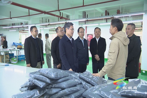 廣東省第五扶貧協(xié)作工作組來松調(diào)研對接?xùn)|西部協(xié)作工作
